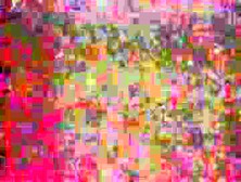 Becky Savage - Sweet Cheeks(movie)