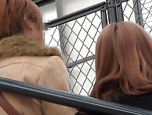 Back shot!Cameltoe upskirt! Close-up photography plus