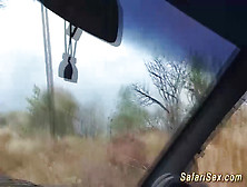 african babe picked up for outdoor fuck