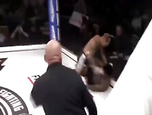 Brutal - Ko