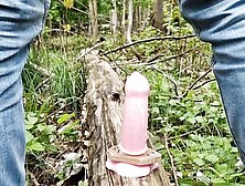 Polish Twink And Public Anal In The Forest