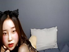 냥블리 500 8월 15일팬방. Mp4