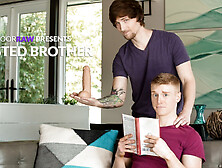 Alex Tanner Scotty Zee In Busted Step Brother - Nextdoorstudios