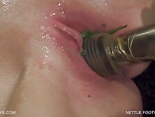Queen Snake In Nettles And Pussy
