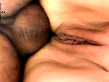 Cougar ex-wife deep doggy style anal.