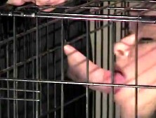 Blindfolded white housewifes black gangbang