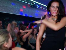 Real party euro amateur giving head