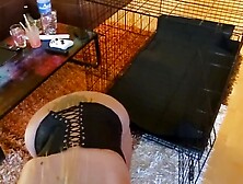 First time into cage