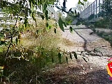 He Falls Off His Bike To Look At Ladymuffin