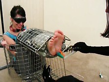 Feathered Feet in Cage