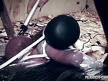 Rubber Trash - Digital Remasterd