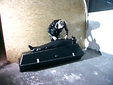 Very shiny,  and very black - Absurdum Productions