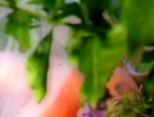 Nothing says I love you more than some 69 and anal sex