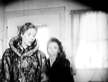 Stockings & Nylons in Classics 642