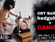 Femdom CBT Caning Booty Plug Bondage Bench BDSM Pegs