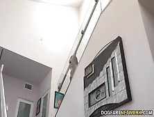 Beautiful ebony Kira Noir goes anal