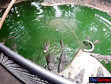 Crocodiles Munching & Making His Amateur Thai Girlfriend Cum Hard