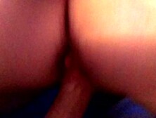 The Ex Compilation Pmv 2