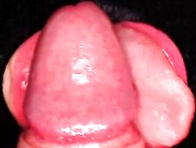 Close Up Pov Fuck My Perfect Lips With