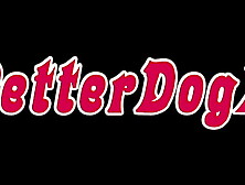 PETTER DOGX TAKING A BATH LOVELY NEW PORN ACTOR IN THE BRAZILIAN MARKET.