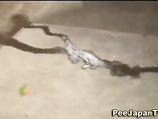 Asian Teen Waterfalls