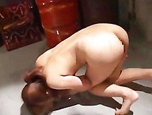 Japanese Flogging Play File No. 14