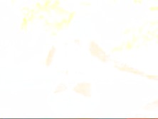 Cherokee Deadly Thick Gazoo