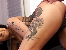 Einfach Geil Fotoshooting Fick Hochgeladen - AltErotic