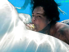 Holiday Pool Orgy Bj Fun & Underwater Online Camera