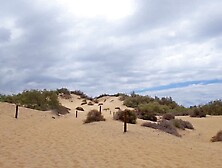 Lily's Adventure: Large Shock In The Midst Of The Dunes! - Lilykoti