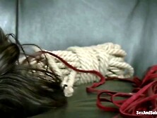 Bella Rossi Fucked Hard