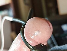 Close-Up Throbbing Cock Head Cum - Estim