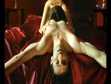 Sophie Marceau - Excellent Adult Video Milf Fantastic Pretty One