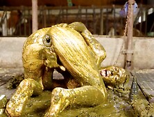 Kyra Sex Enjoying Fresh Manure - orgasm in cowshit