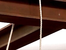 Capu00edtulo 04.  Desenlace El autografo hang