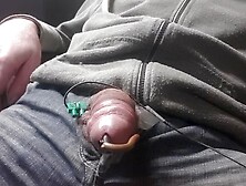 E-Whip With Needle In Penis Shaft 1