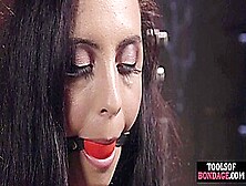 Bdsm Bondage Bitch Dominated Hardcore By Nympho Guy