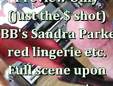 BBB Preview: Sandra Parker Red Lingerie etc
