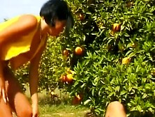 Hot German woman eating warm cum in the orchard