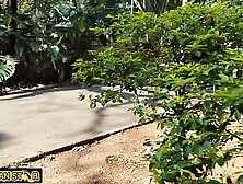 The farm boss's daughter called the farmhand into the woods to take her virginity