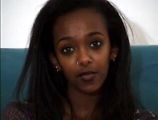 Bagheera - French Black Angel