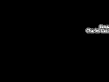 House Hunting - Anita Bellini