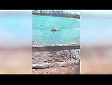 DIVINE SINNERS -- HOT DUTCH MILF DANIQUE SINNERS FUCKING OUTDOORS