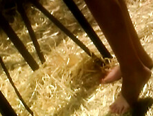 Playing Cupid in Bold Adventure