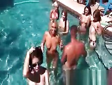 Topless bitches tanning by the pool