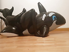 Latex Shark Fun Time