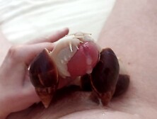 Giant Snails Finish The Job Milking My Cock