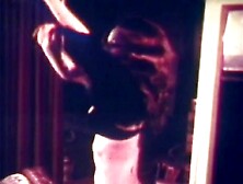 Vulgar Capricious Pig