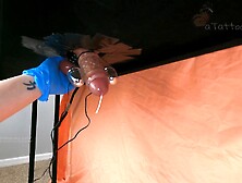 MILKING TABLE - BALL STRETCHING HUNK MILKING MACHINE