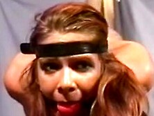 Trapped in His Web (Devon Shire,  Eve Ellis,  Wendi White)